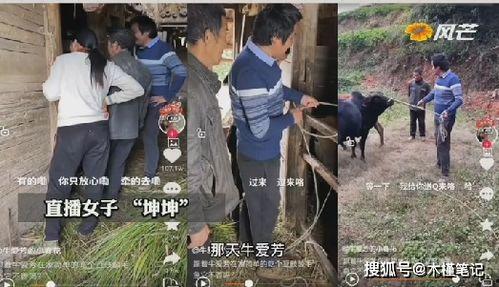 牛爱芳同村人爆料原视频,揭秘原视频背后的惊人真相  第2张